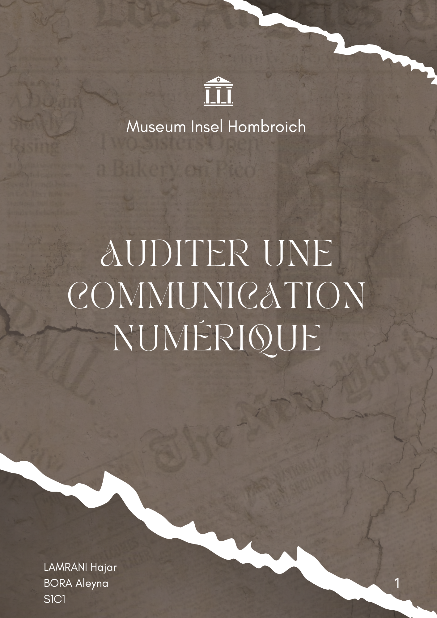 Audit du site "Museum Insel Hombroich" image 1